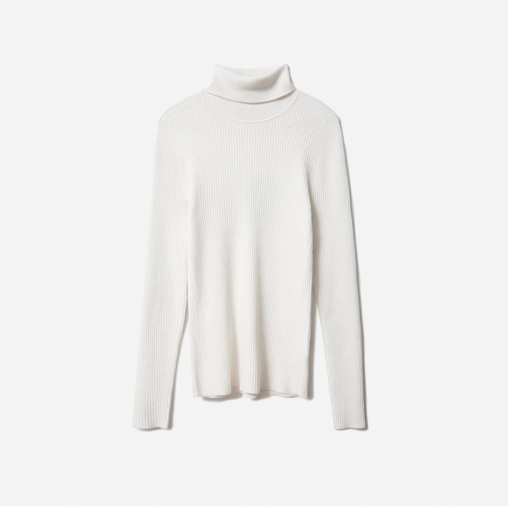 The Italian Merino Rib Turtleneck